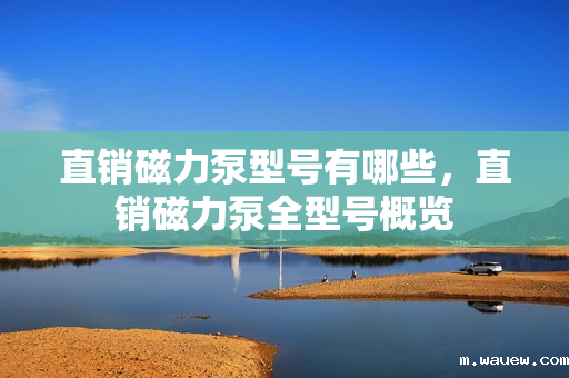 直销磁力泵型号有哪些,直销磁力泵全型号概览 直销磁力泵型号有哪些,直销磁力泵全型号概览