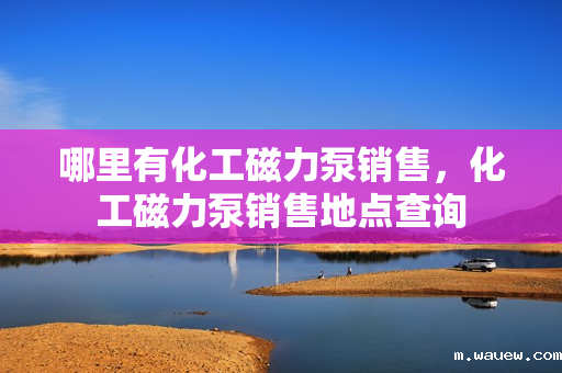 哪里有化工磁力泵销售,化工磁力泵销售地点查询 哪里有化工磁力泵销售,化工磁力泵销售地点查询