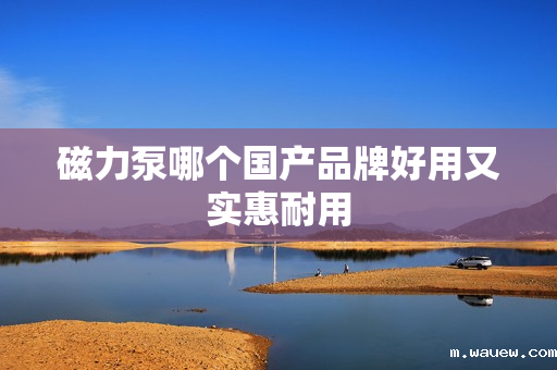 磁力泵哪个国产品牌好用又实惠耐用 磁力泵哪个国产品牌好用又实惠耐用