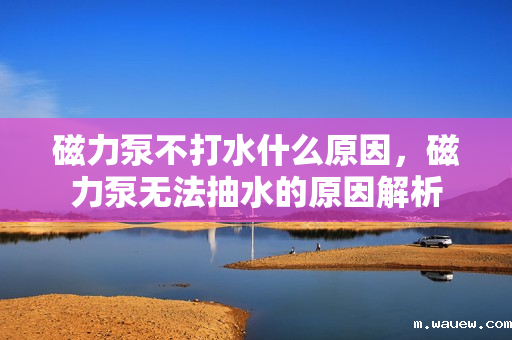 磁力泵不打水什么原因,磁力泵无法抽水的原因解析 磁力泵不打水什么原因,磁力泵无法抽水的原因解析