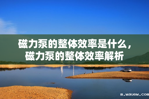 磁力泵的整体效率是什么,磁力泵的整体效率解析 磁力泵的整体效率是什么,磁力泵的整体效率解析