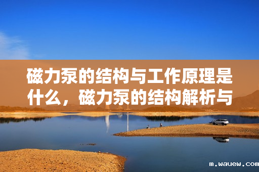 磁力泵的结构与工作原理是什么,磁力泵的结构解析与工作原理详解 磁力泵的结构与工作原理是什么,磁力泵的结构解析与工作原理详解