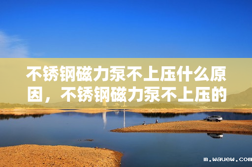 不锈钢磁力泵不上压什么原因,不锈钢磁力泵不上压的原因解析 不锈钢磁力泵不上压什么原因,不锈钢磁力泵不上压的原因解析
