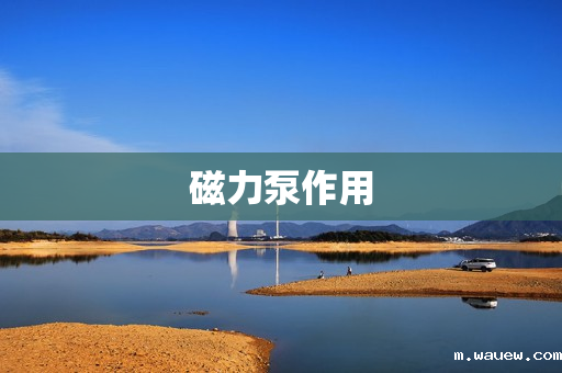 磁力泵作用 磁力泵作用