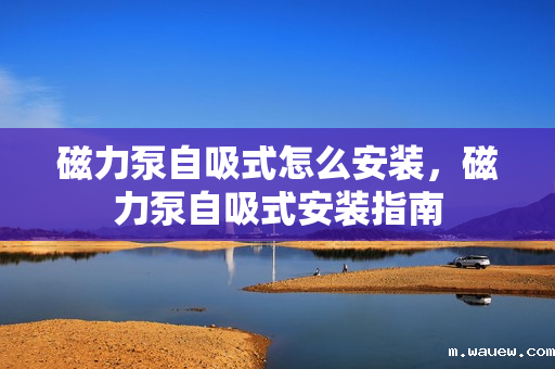 磁力泵自吸式怎么安装,磁力泵自吸式安装指南 磁力泵自吸式怎么安装,磁力泵自吸式安装指南