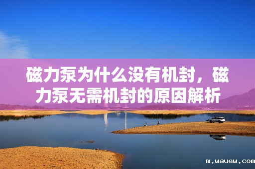 磁力泵为什么没有机封,磁力泵无需机封的原因解析 磁力泵为什么没有机封,磁力泵无需机封的原因解析