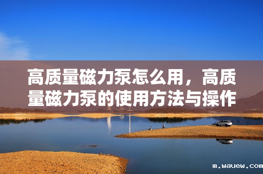 高质量磁力泵怎么用,高质量磁力泵的使用方法与操作指南 高质量磁力泵怎么用,高质量磁力泵的使用方法与操作指南
