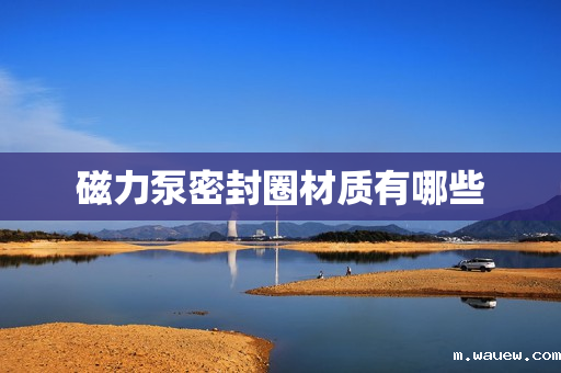 磁力泵密封圈材质有哪些 磁力泵密封圈材质有哪些