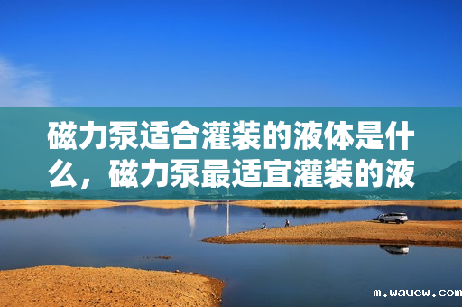 磁力泵适合灌装的液体是什么,磁力泵最适宜灌装的液体类型 磁力泵适合灌装的液体是什么,磁力泵最适宜灌装的液体类型