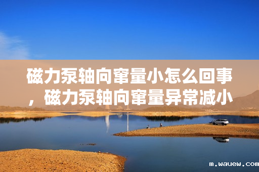 磁力泵轴向窜量小怎么回事,磁力泵轴向窜量异常减小的原因及解决方法 磁力泵轴向窜量小怎么回事,磁力泵轴向窜量异常减小的原因及解决方法