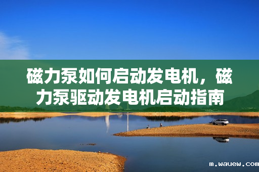 磁力泵如何启动发电机,磁力泵驱动发电机启动指南 磁力泵如何启动发电机,磁力泵驱动发电机启动指南