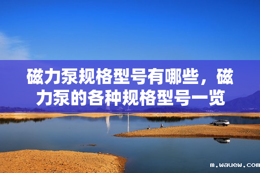 磁力泵规格型号有哪些,磁力泵的各种规格型号一览 磁力泵规格型号有哪些,磁力泵的各种规格型号一览