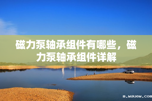 磁力泵轴承组件有哪些,磁力泵轴承组件详解 磁力泵轴承组件有哪些,磁力泵轴承组件详解