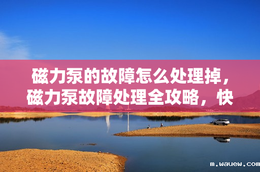 磁力泵的故障怎么处理掉,磁力泵故障处理全攻略,快速解决问题,恢复设备正常运行 磁力泵的故障怎么处理掉,磁力泵故障处理全攻略,快速解决问题,恢复设备正常运行