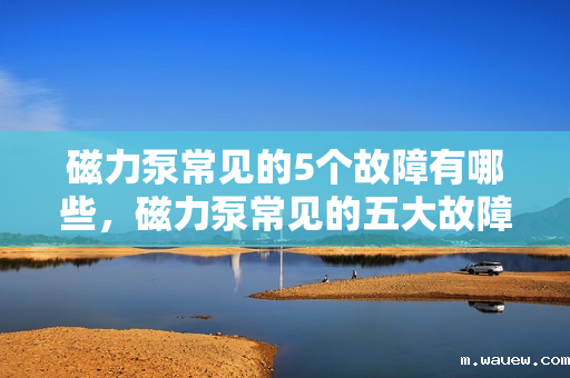 磁力泵常见的5个故障有哪些,磁力泵常见的五大故障解析 磁力泵常见的5个故障有哪些,磁力泵常见的五大故障解析