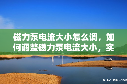 磁力泵电流大小怎么调,如何调整磁力泵电流大小,实用指南与步骤 磁力泵电流大小怎么调,如何调整磁力泵电流大小,实用指南与步骤