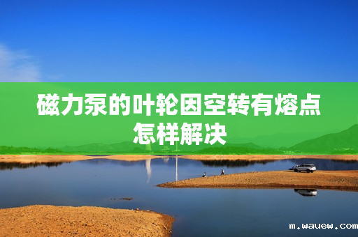 磁力泵的叶轮因空转有熔点怎样解决 磁力泵的叶轮因空转有熔点怎样解决