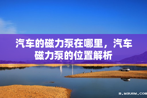 汽车的磁力泵在哪里,汽车磁力泵的位置解析 汽车的磁力泵在哪里,汽车磁力泵的位置解析