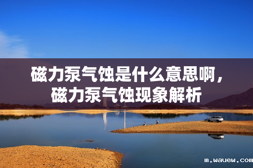 磁力泵气蚀是什么意思啊,磁力泵气蚀现象解析 磁力泵气蚀是什么意思啊,磁力泵气蚀现象解析