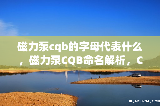 磁力泵cqb的字母代表什么,磁力泵CQB命名解析,CQB字母代表的含义揭秘 磁力泵cqb的字母代表什么,磁力泵CQB命名解析,CQB字母代表的含义揭秘