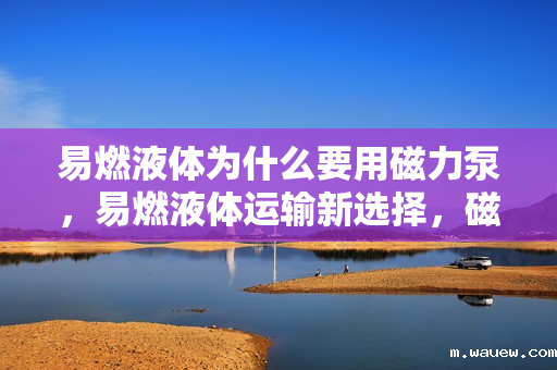 易燃液体为什么要用磁力泵,易燃液体运输新选择,磁力泵的应用与安全性解析 易燃液体为什么要用磁力泵,易燃液体运输新选择,磁力泵的应用与安全性解析