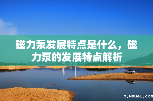 磁力泵发展特点是什么,磁力泵的发展特点解析 磁力泵发展特点是什么,磁力泵的发展特点解析