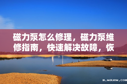 磁力泵怎么修理,磁力泵维修指南,快速解决故障,恢复设备正常运行 磁力泵怎么修理,磁力泵维修指南,快速解决故障,恢复设备正常运行