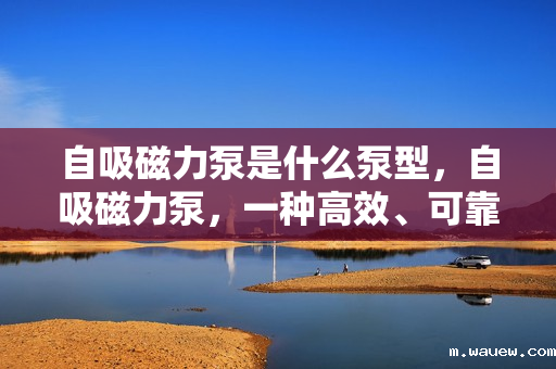 自吸磁力泵是什么泵型,自吸磁力泵,一种高效、可靠的泵型介绍 自吸磁力泵是什么泵型,自吸磁力泵,一种高效、可靠的泵型介绍