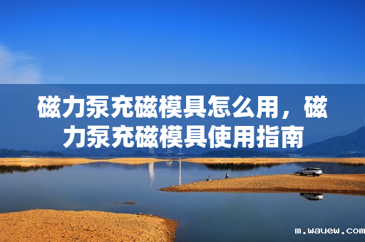 磁力泵充磁模具怎么用,磁力泵充磁模具使用指南 磁力泵充磁模具怎么用,磁力泵充磁模具使用指南