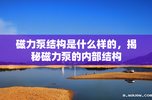 磁力泵结构是什么样的,揭秘磁力泵的内部结构 磁力泵结构是什么样的,揭秘磁力泵的内部结构