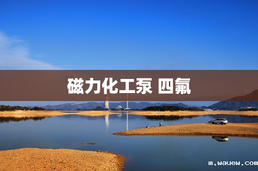 磁力化工泵 四氟 磁力化工泵 四氟