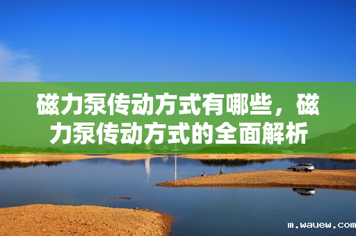 磁力泵传动方式有哪些,磁力泵传动方式的全面解析 磁力泵传动方式有哪些,磁力泵传动方式的全面解析