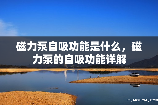磁力泵自吸功能是什么,磁力泵的自吸功能详解 磁力泵自吸功能是什么,磁力泵的自吸功能详解
