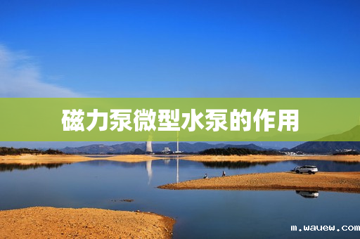 磁力泵微型水泵的作用 磁力泵微型水泵的作用