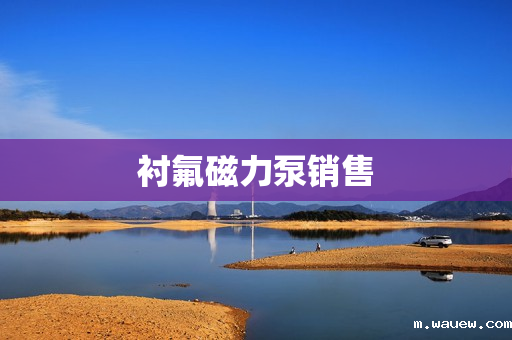 衬氟磁力泵销售 衬氟磁力泵销售