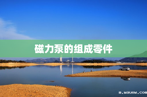 磁力泵的组成零件 磁力泵的组成零件