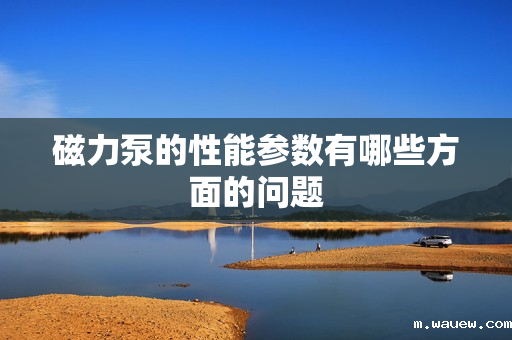 磁力泵的性能参数有哪些方面的问题 磁力泵的性能参数有哪些方面的问题