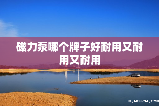 磁力泵哪个牌子好耐用又耐用又耐用 磁力泵哪个牌子好耐用又耐用又耐用