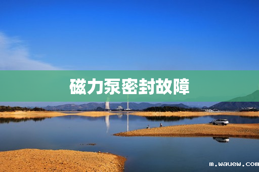 磁力泵密封故障 磁力泵密封故障