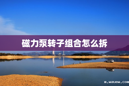 磁力泵转子组合怎么拆 磁力泵转子组合怎么拆