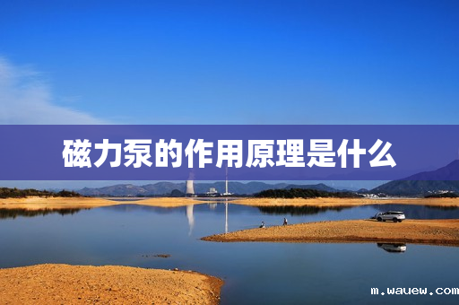 磁力泵的作用原理是什么 磁力泵的作用原理是什么