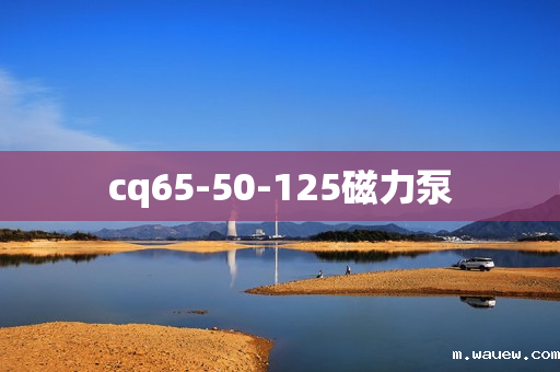 cq65-50-125磁力泵 cq65-50-125磁力泵