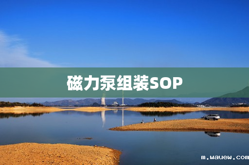 磁力泵组装SOP 磁力泵组装SOP