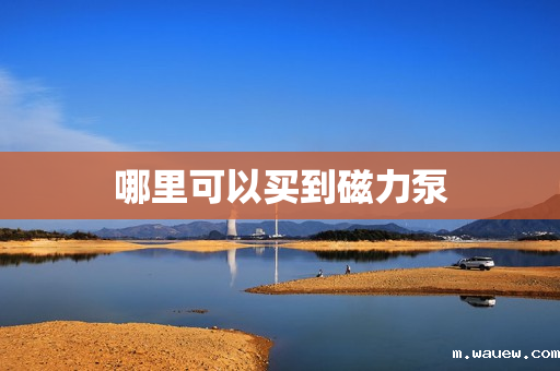 哪里可以买到磁力泵 哪里可以买到磁力泵