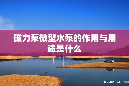 磁力泵微型水泵的作用与用途是什么 磁力泵微型水泵的作用与用途是什么