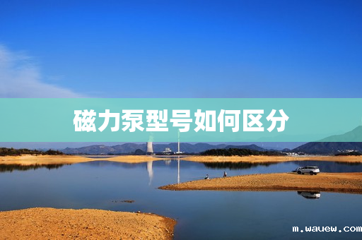 磁力泵型号如何区分 磁力泵型号如何区分