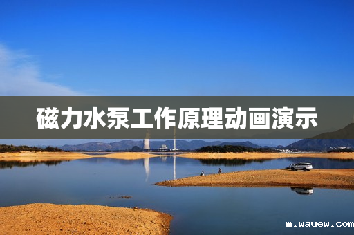 磁力水泵工作原理动画演示 磁力水泵工作原理动画演示