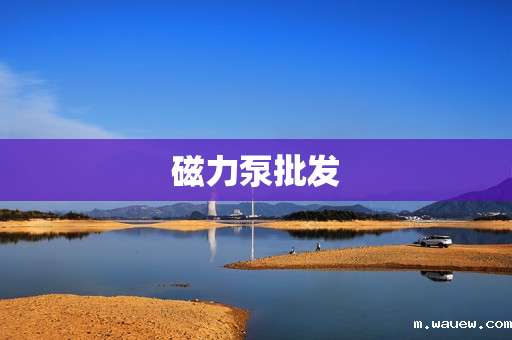 磁力泵批发 磁力泵批发