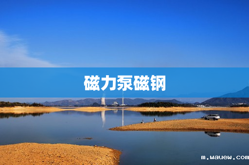 磁力泵磁钢 磁力泵磁钢