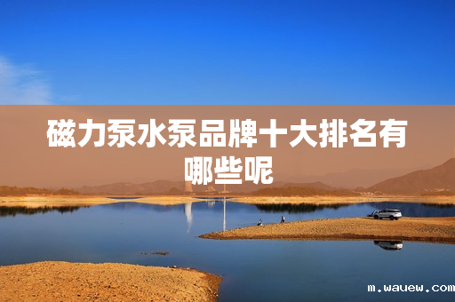 磁力泵水泵品牌十大排名有哪些呢 磁力泵水泵品牌十大排名有哪些呢